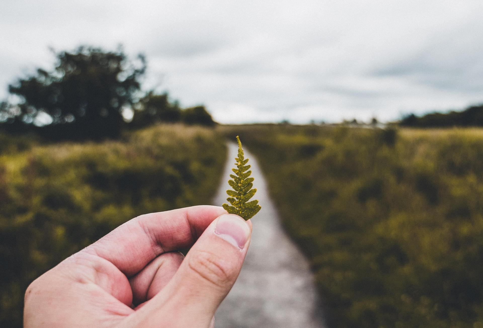 Hard Truth: Investors May Need To Accept Lower Returns For ESG To Succeed