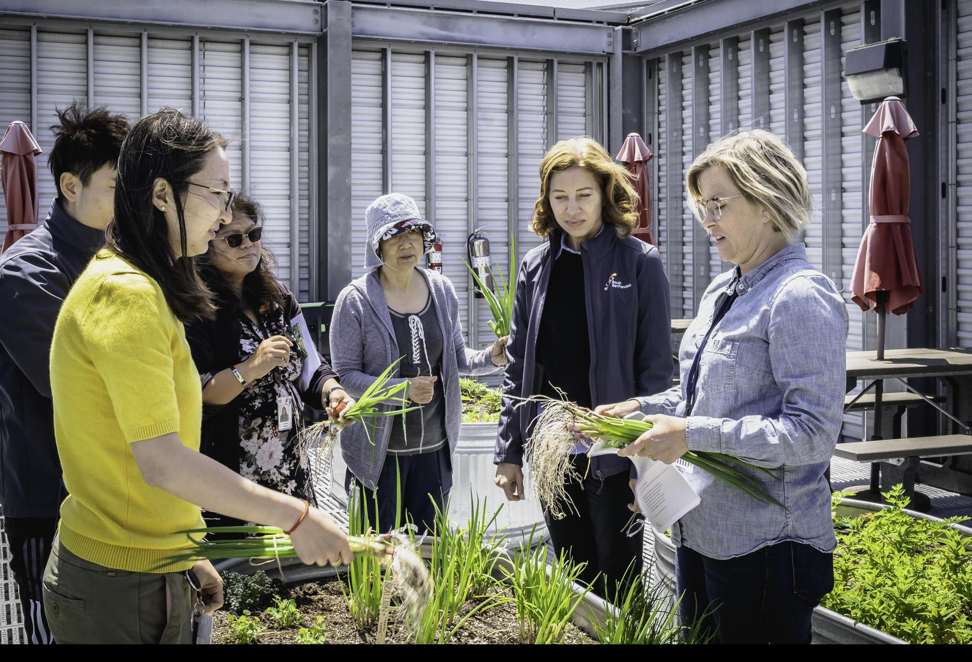 Taking Root: The Newest Bay Area Office Amenity Is An Urban Garden