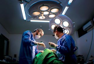 Learn How Hospital Expansion Can Benefit New York's Patients And Staff At Bisnow's June 25 Event