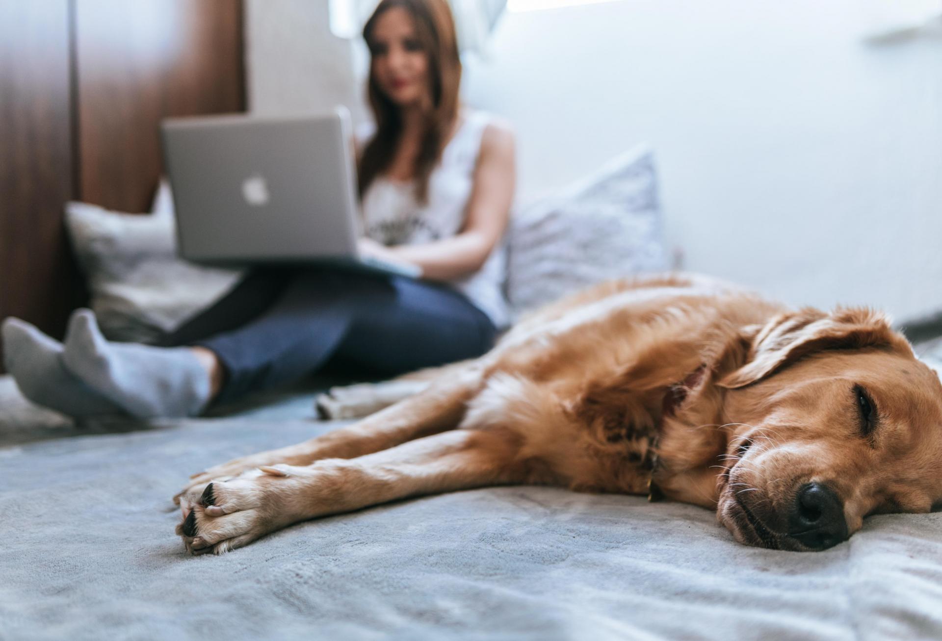 WFH Begins To Wane As UK Regions Go Back To The Office