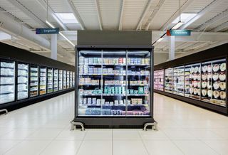 frozen aisle cold storage