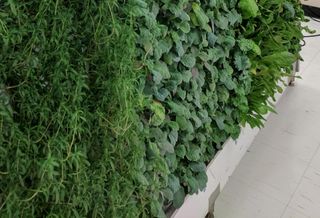 Can Indoor Farming Fulfill The Dream Of Opportunity Zones?