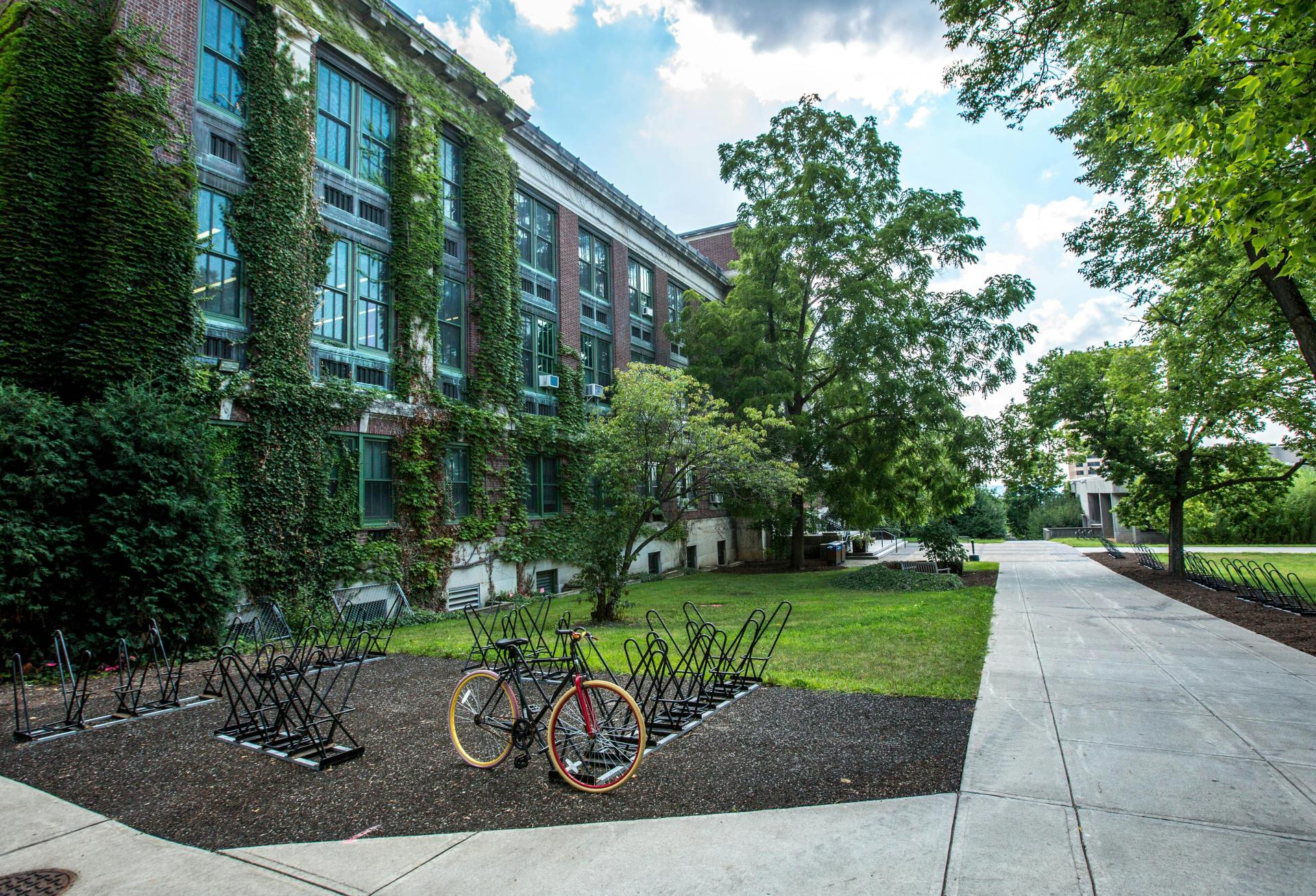 How Can Universities Attract Students Amid Declining Enrollment? An Expert From GBI Weighs In