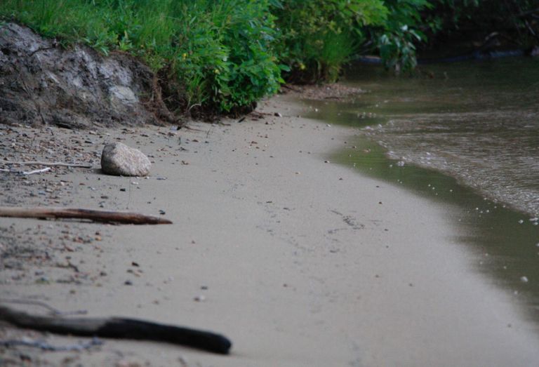 The shore of Priest Lake, Idaho, which is fed by the surrounding creeks and wetlands — some of which are no longer protected under the Clean Water Act, following a SCOTUS ruling from Thursday.