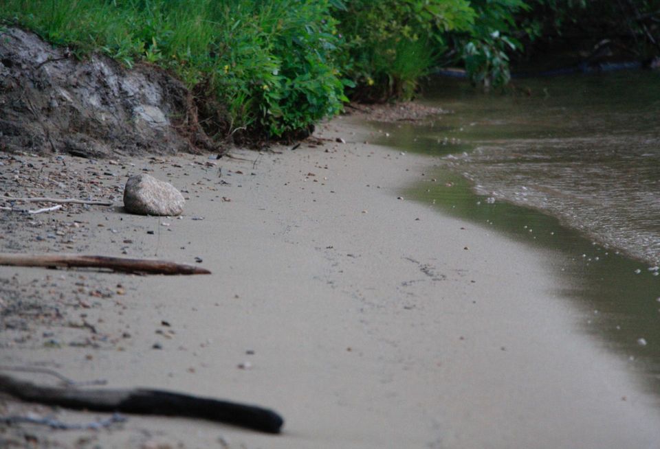 The shore of Priest Lake, Idaho, which is fed by the surrounding creeks and wetlands — some of which are no longer protected under the Clean Water Act, following a SCOTUS ruling from Thursday.