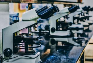 How A 100-Year-Old Company Upholds Its Legacy While Meeting Growing Life Sciences Demand 