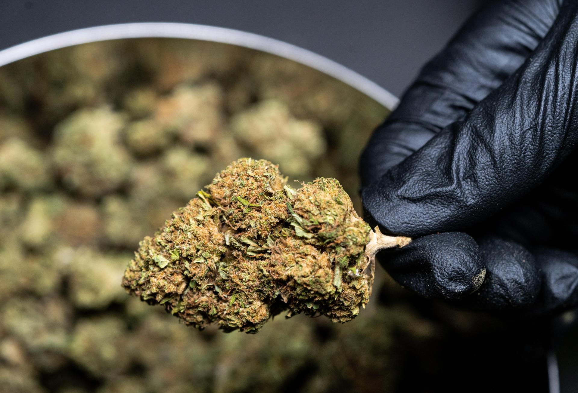 Seeing Green: Cannabis Can Fill Vacancies, Boost Property Values, But Deals Are Hard To Do