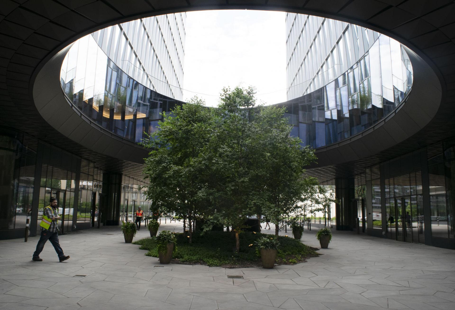 The Oculus, a second-story, ring-shaped bridge connecting the office buildings at 680 Maine Ave. and 670 Maine Ave. on The Wharf