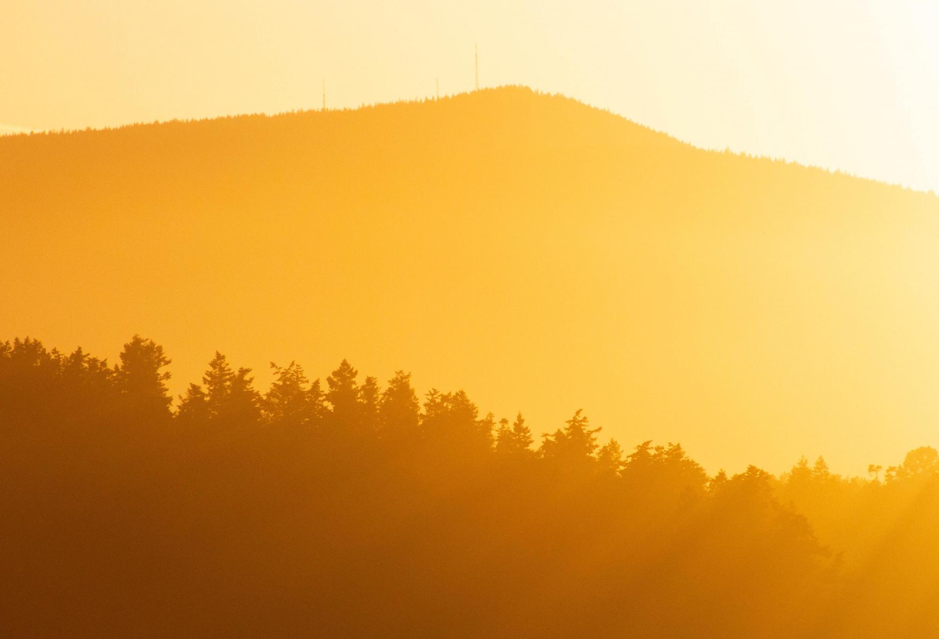 CRE Investors Warming Up To ESG Considerations