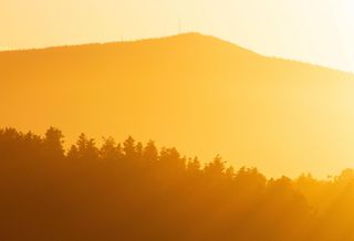 CRE Investors Warming Up To ESG Considerations