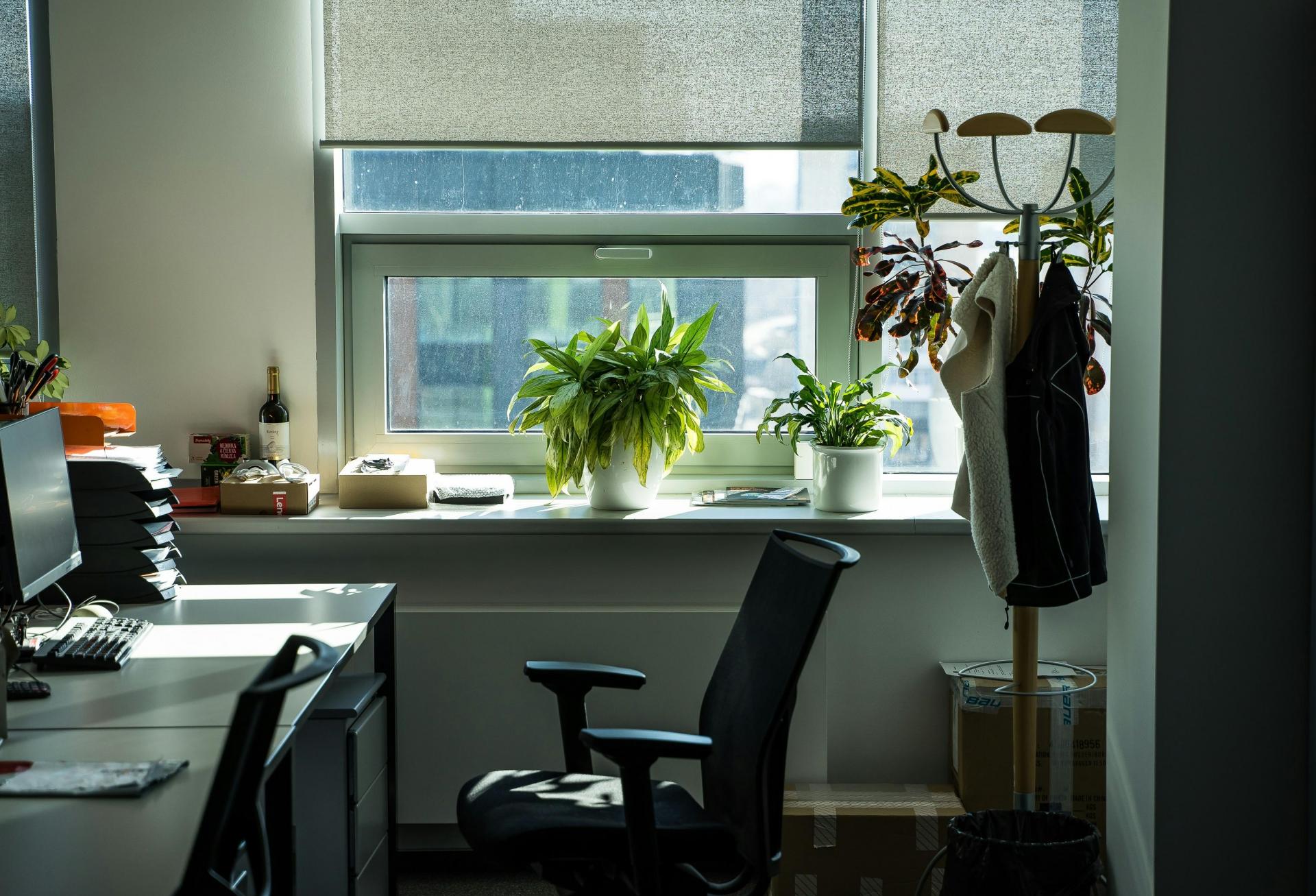 What Tenants Want: A Peek Into 3 Los Angeles Office Leasing Decisions