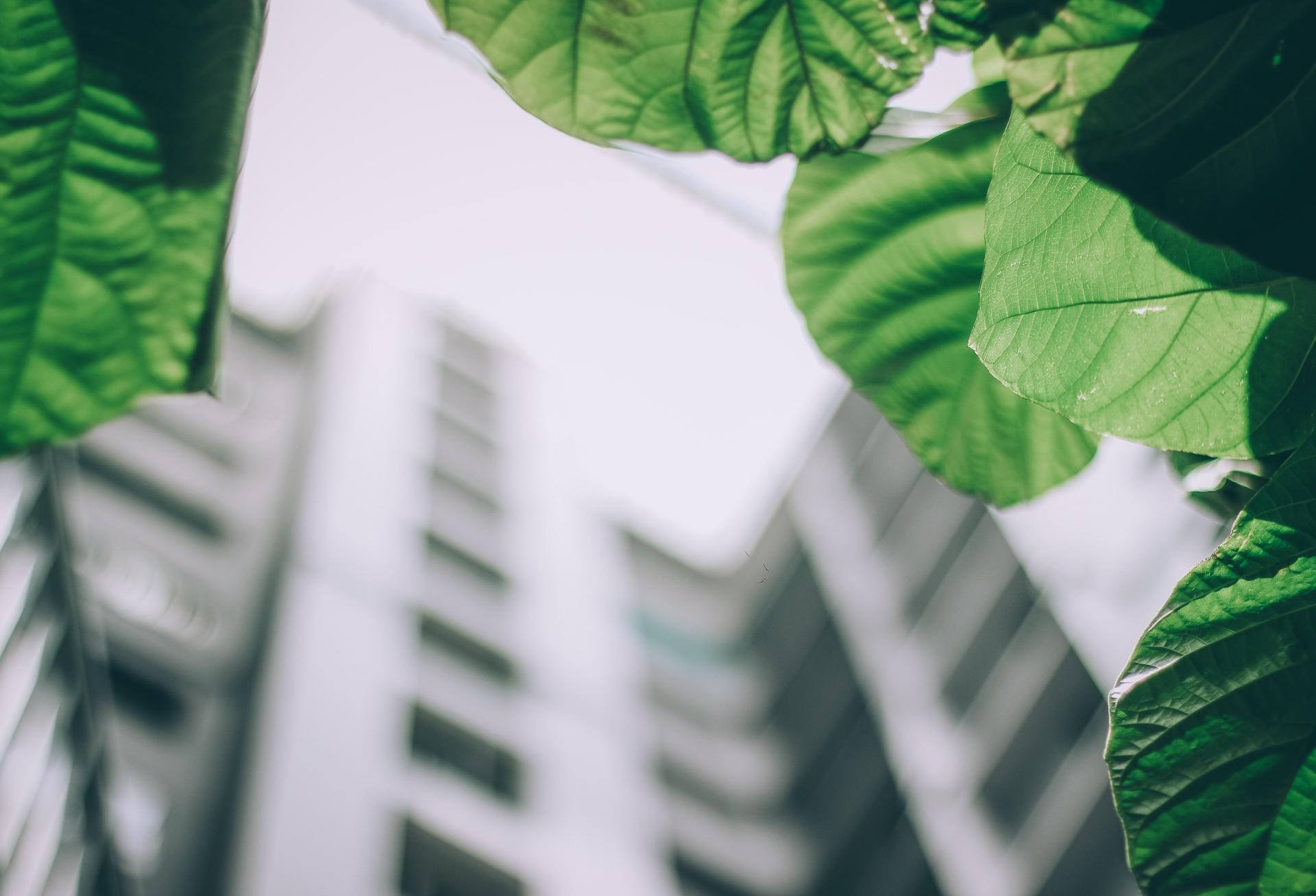 Bank Offers £100M Of Loans For Green Retrofit Projects