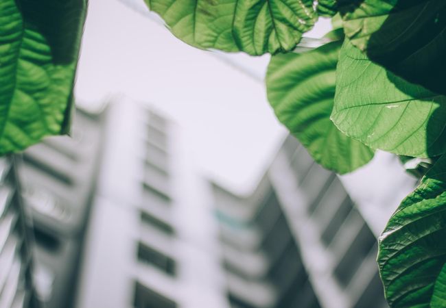 Bank Offers £100M Of Loans For Green Retrofit Projects
