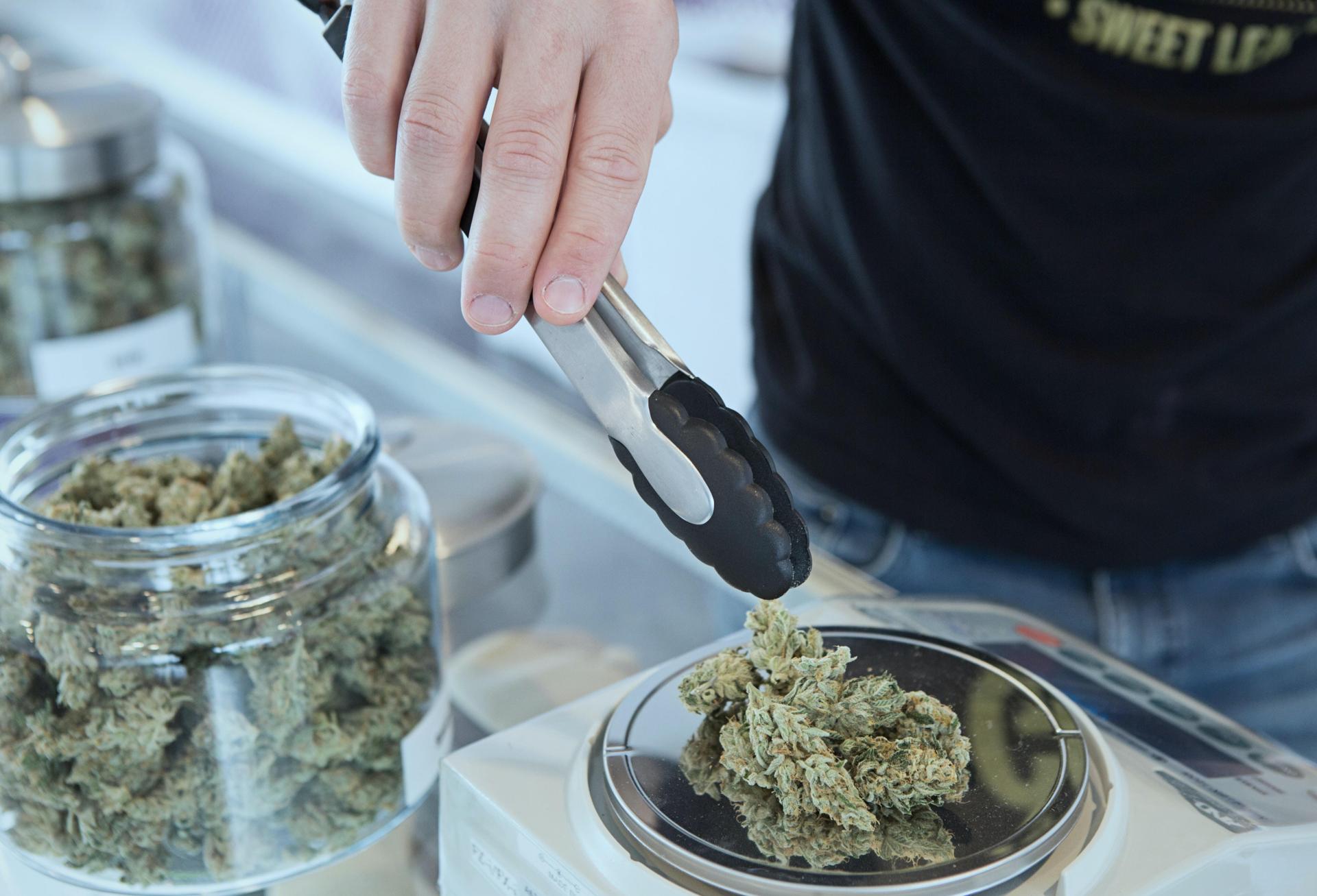 cannabis