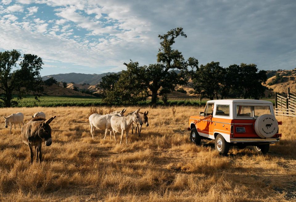 Adam Gordon in a Ford Bronco