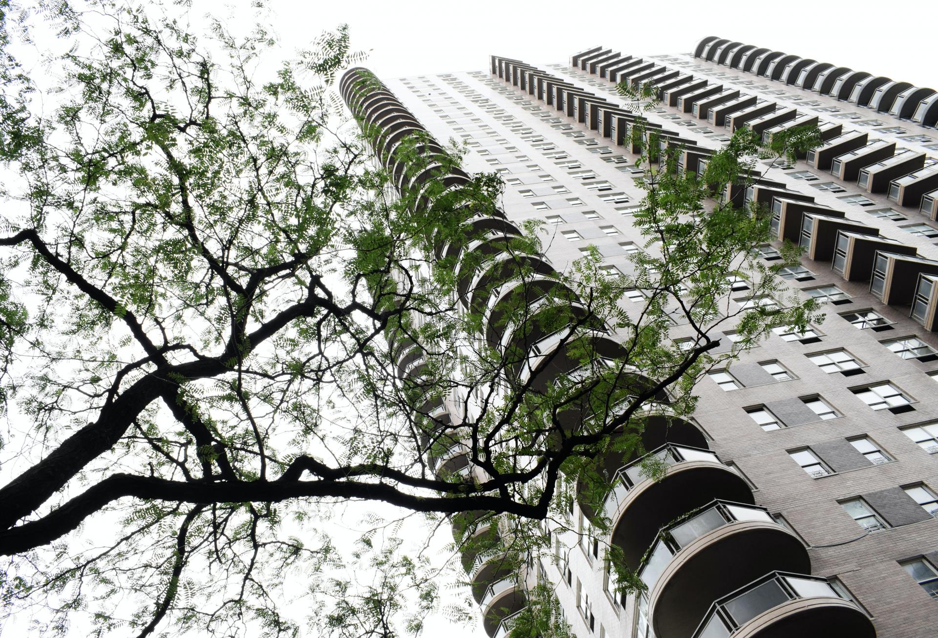 Developers Hesitant To Embrace Eco-Friendly Apartment Builds, But Not Forever