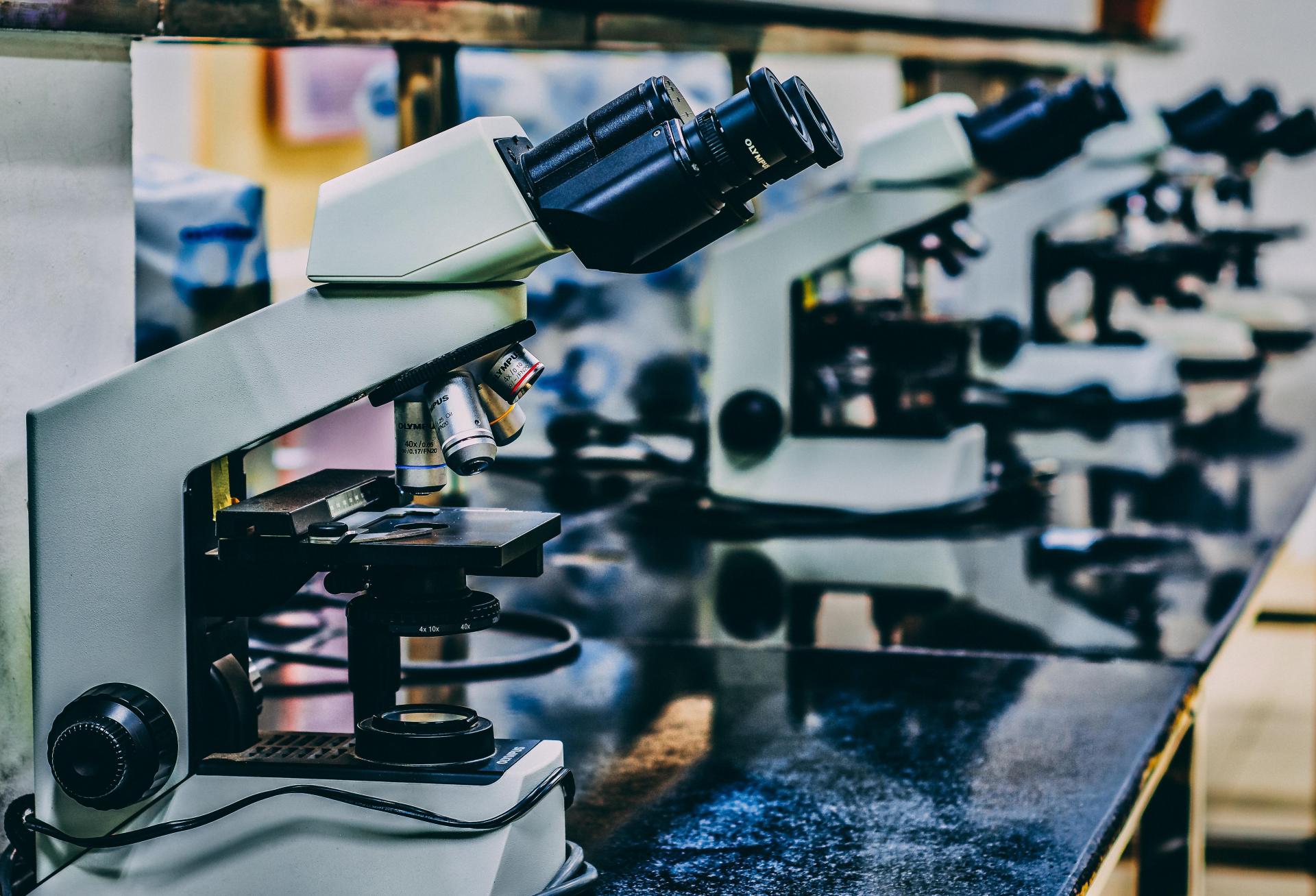 2023 Was The Year Boston’s Biotech Boom Fell Back To Earth