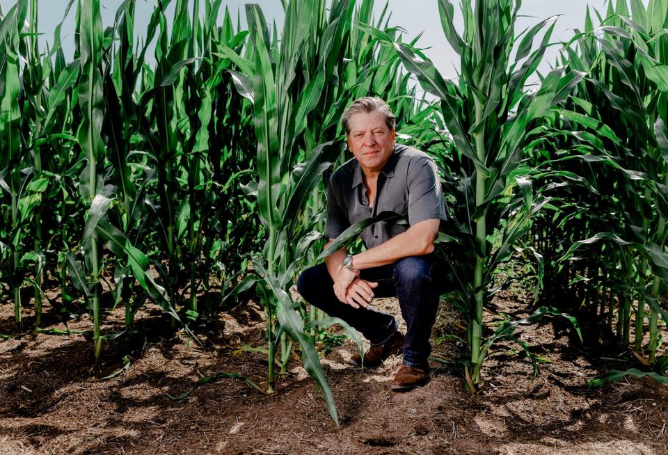 Farmland Partners founder and Chairman Paul Pittman poses in what is likely a cornfield for a portrait.