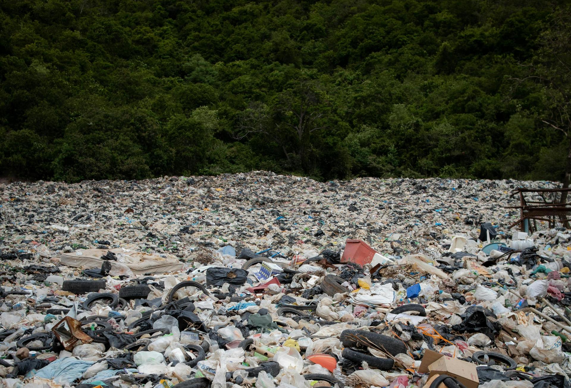 Trash and Trees