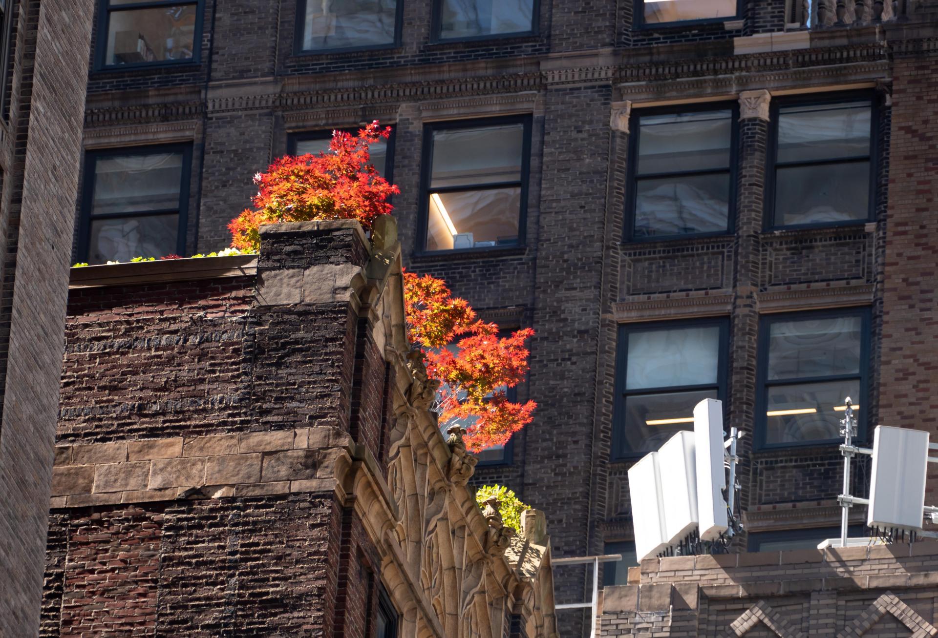 NYC Apartment Rents Cool Slightly As Market Begins Normalizing