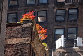 NYC Apartment Rents Cool Slightly As Market Begins Normalizing