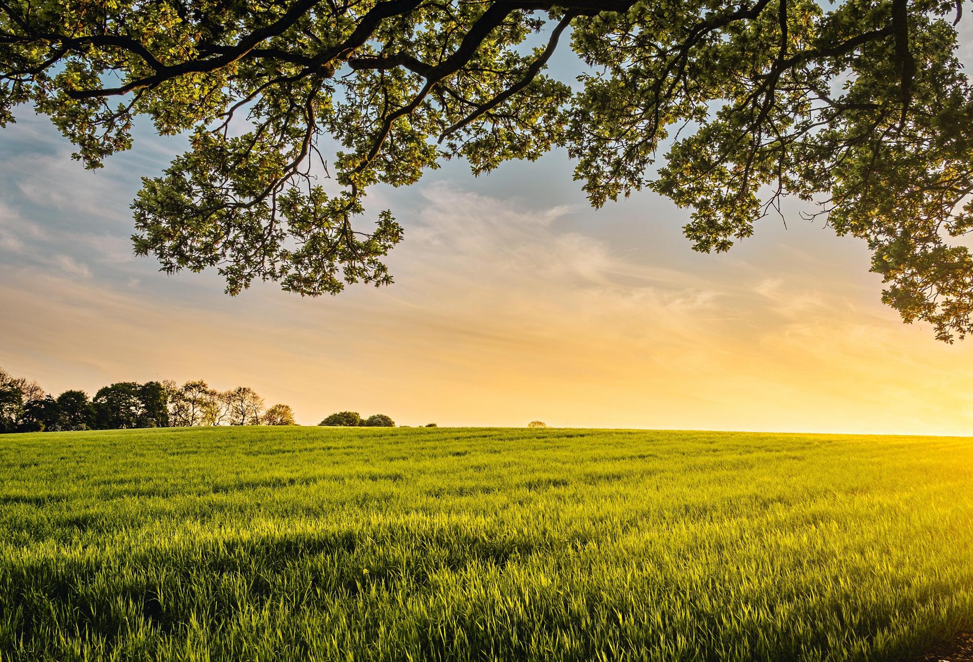 Fingers Crossed For Hope Values As Labour And Conservative Fight Over Land Rights