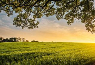 Fingers Crossed For Hope Values As Labour And Conservative Fight Over Land Rights