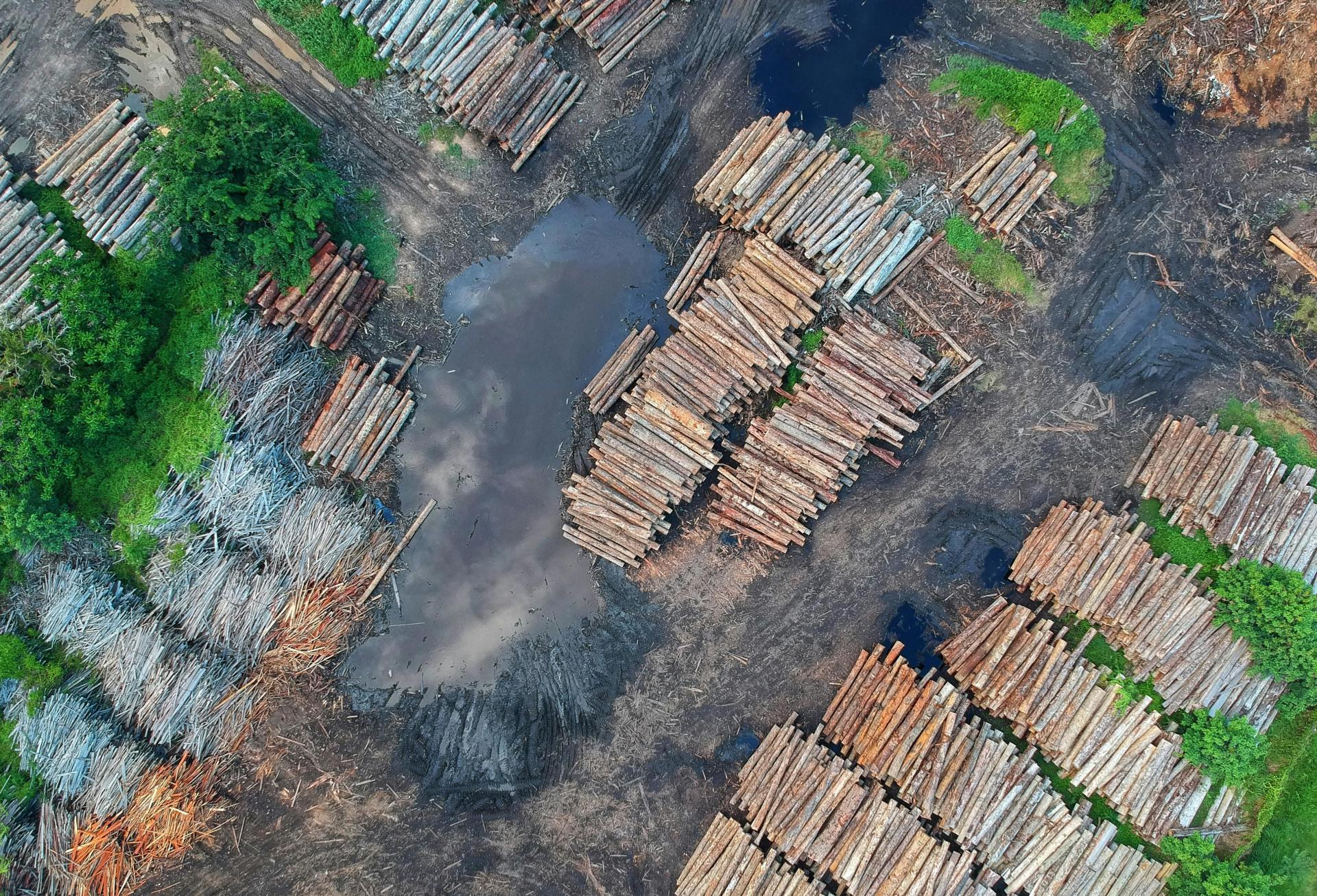 Lumber Futures Dive 23% After Reaching Record Highs