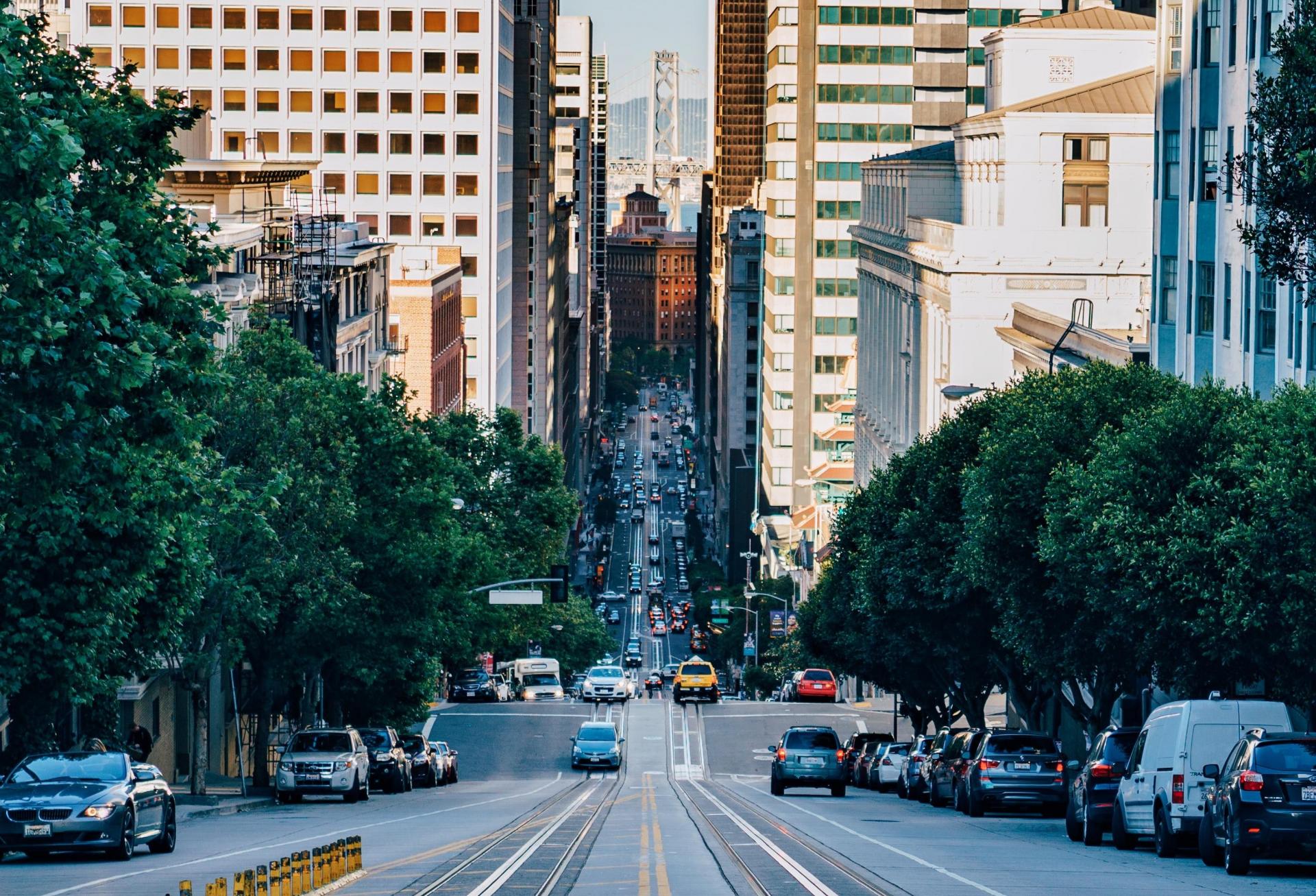What The Bay Area Read Most As It Weathered A Tough 2022