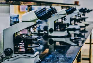 ‘Billions And Billions Of Dollars’ Of Unlocked Potential: Life Sciences CRE Is Just Beginning