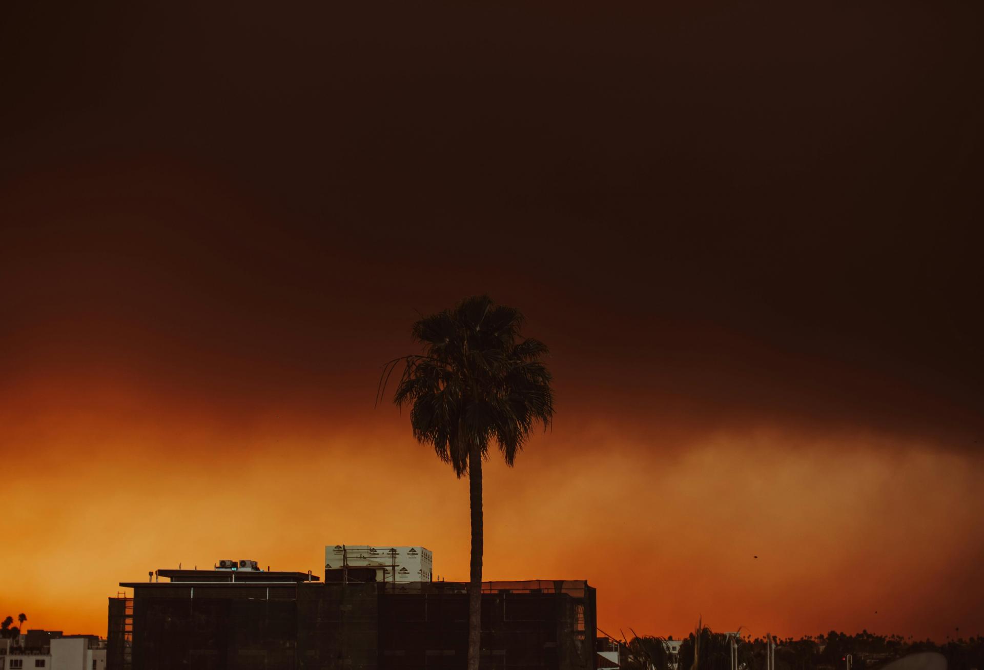 The 'Lost Year': How LA's Devastating Fires Deepened Its Economic Woes