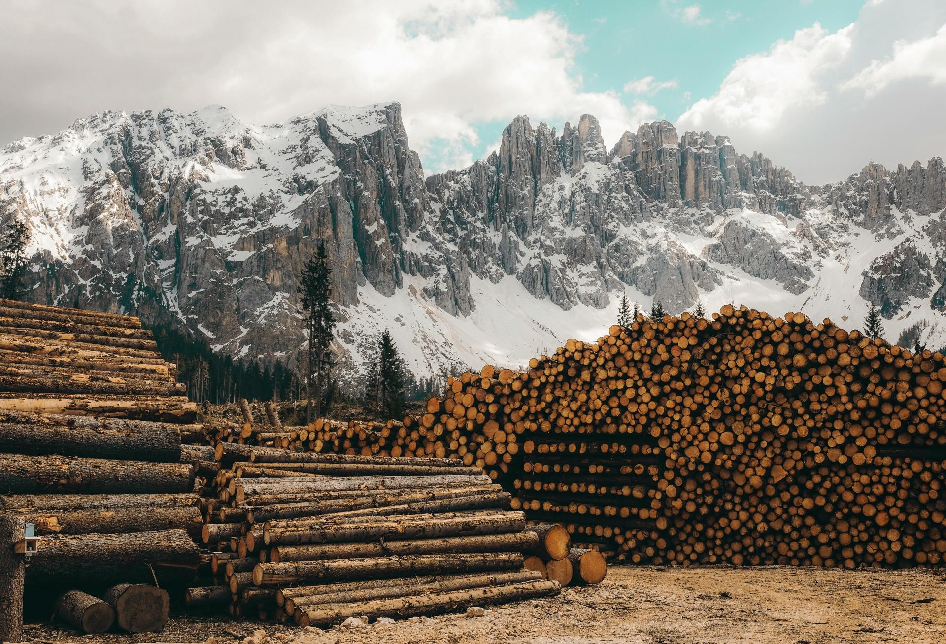 Timber REITs To Merge In $7B Deal