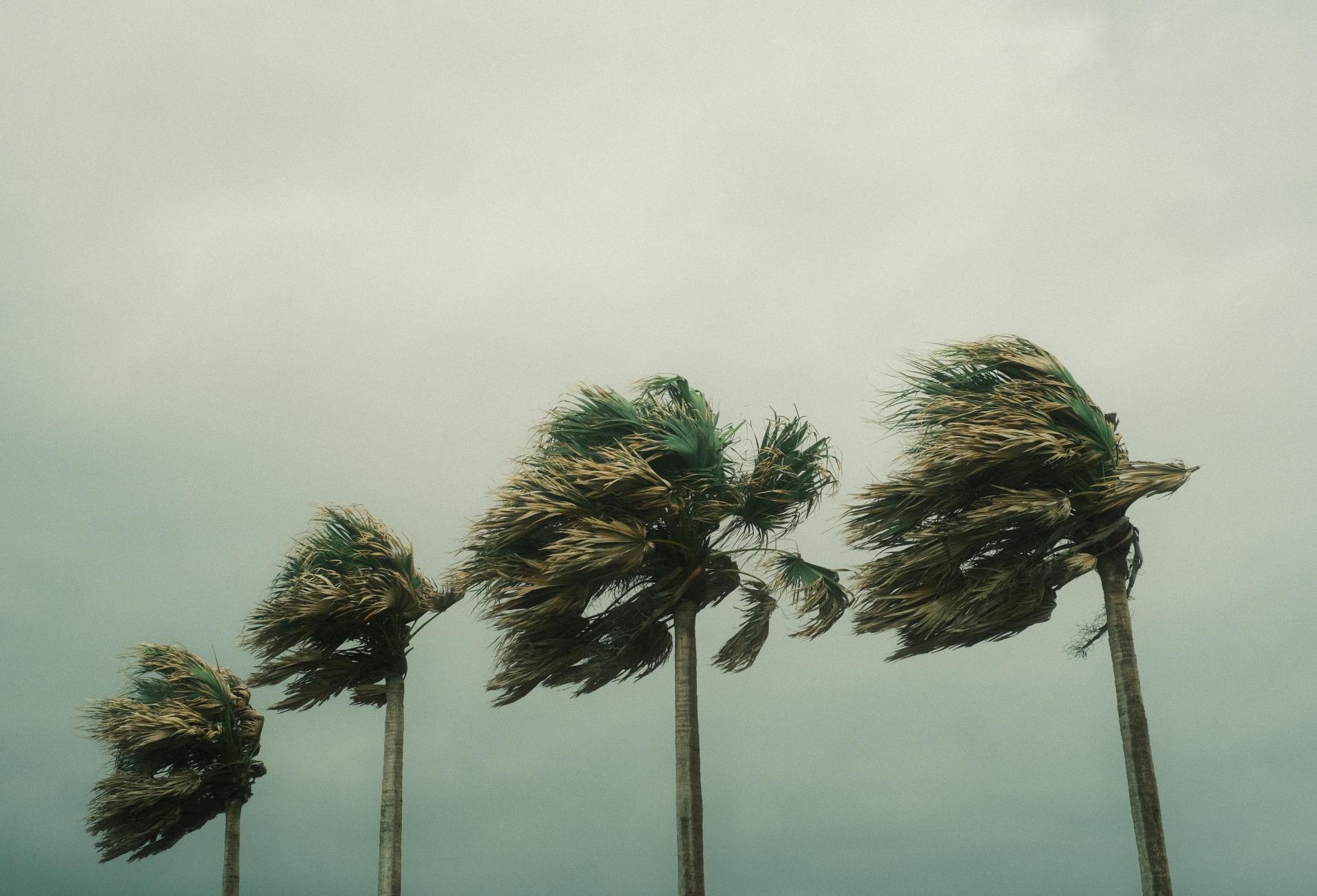 With Hurricanes On The Rise, Will Your Insurance Policy Cover The Water Damage? 