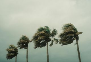 With Hurricanes On The Rise, Will Your Insurance Policy Cover The Water Damage? 