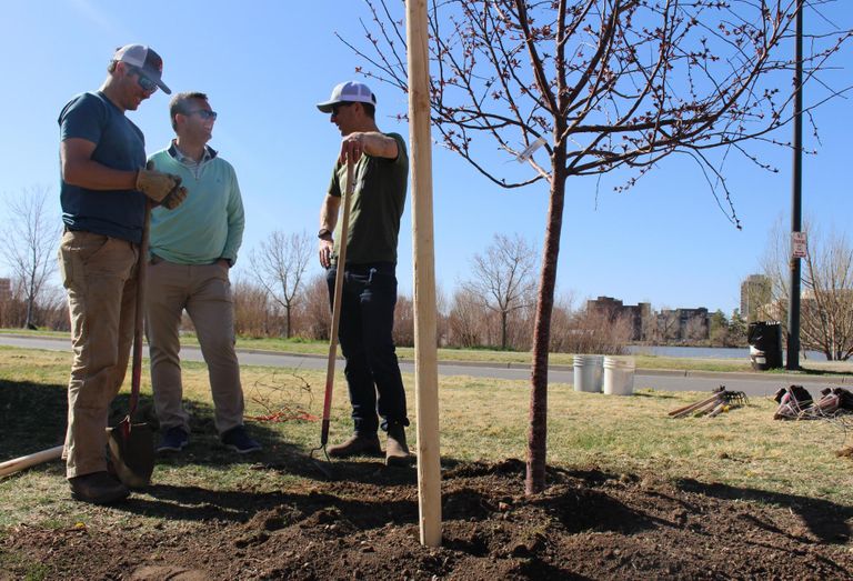 Merrion at JLL Tree Planting Event