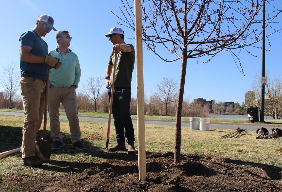 Merrion at JLL Tree Planting Event