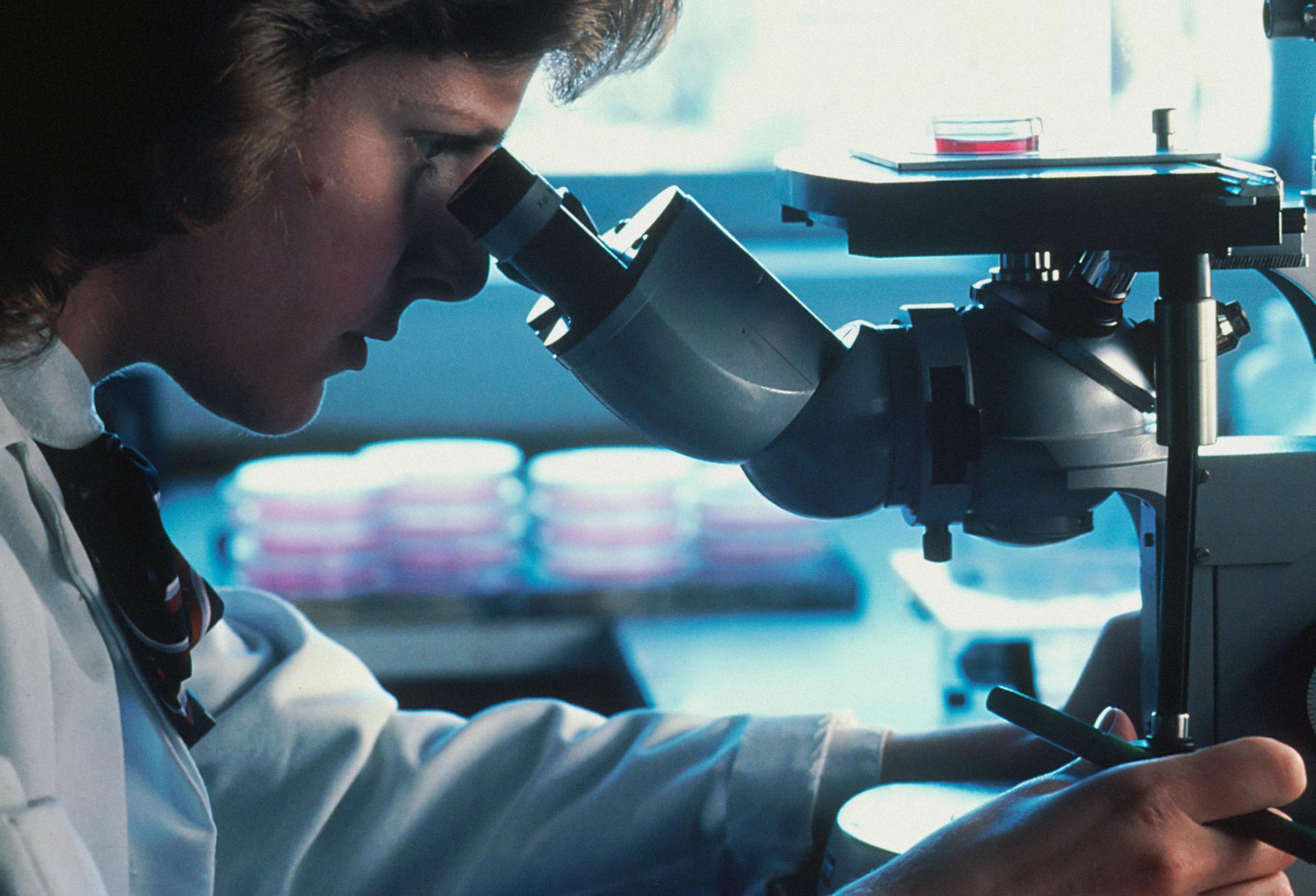 lab