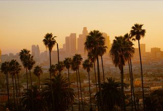 palm trees in front of the Los Angeles skyline 