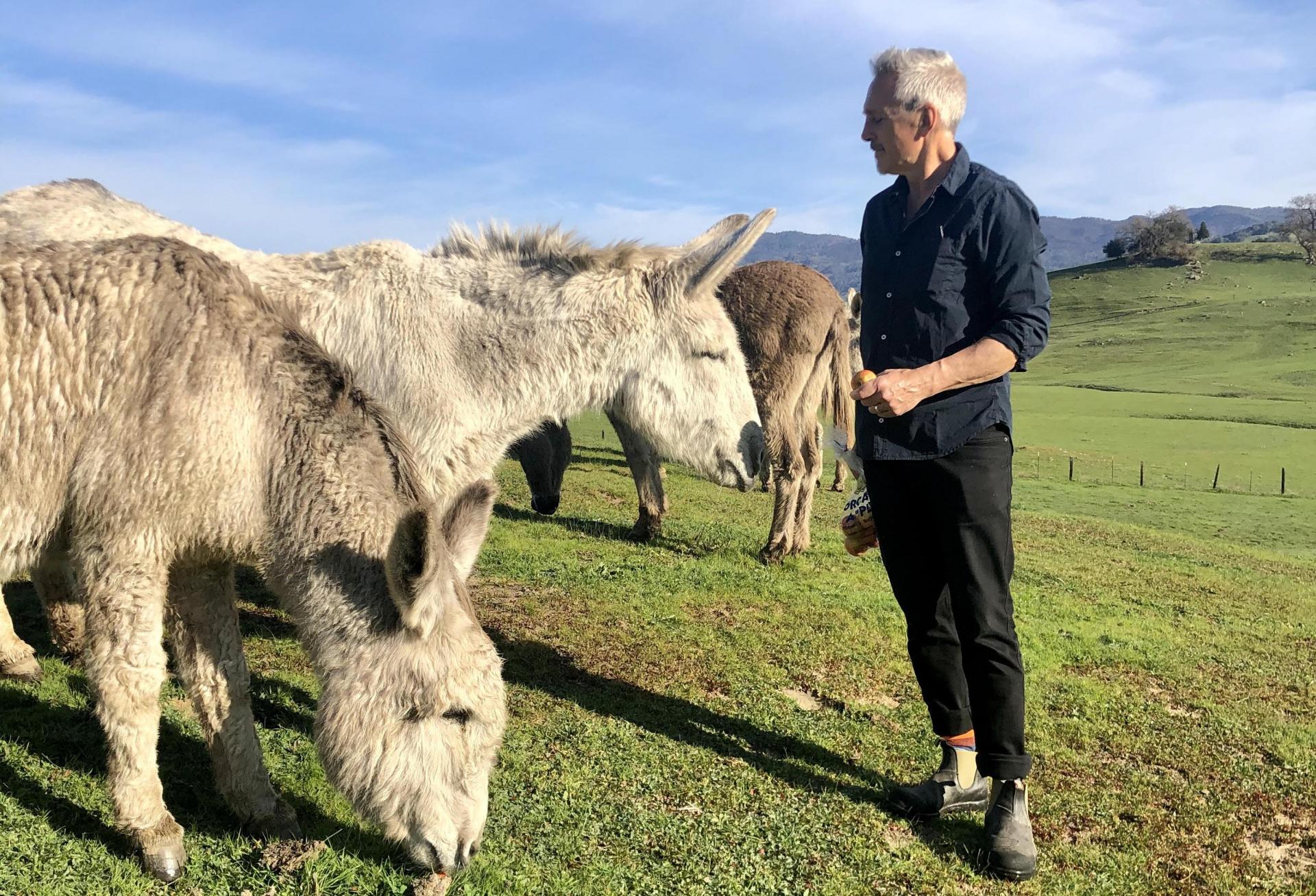Adam Gordon with donkeys on his California ranch