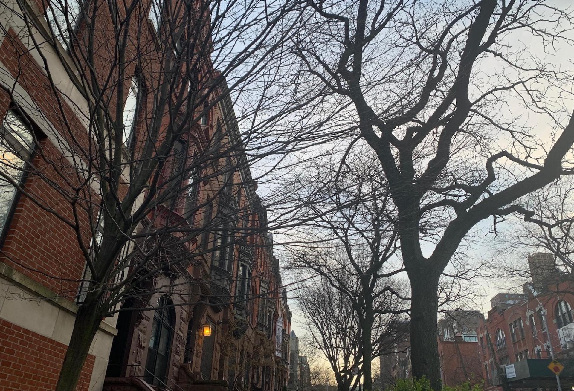 New York Revamps Affordable Housing Lottery Amid Economic Crisis