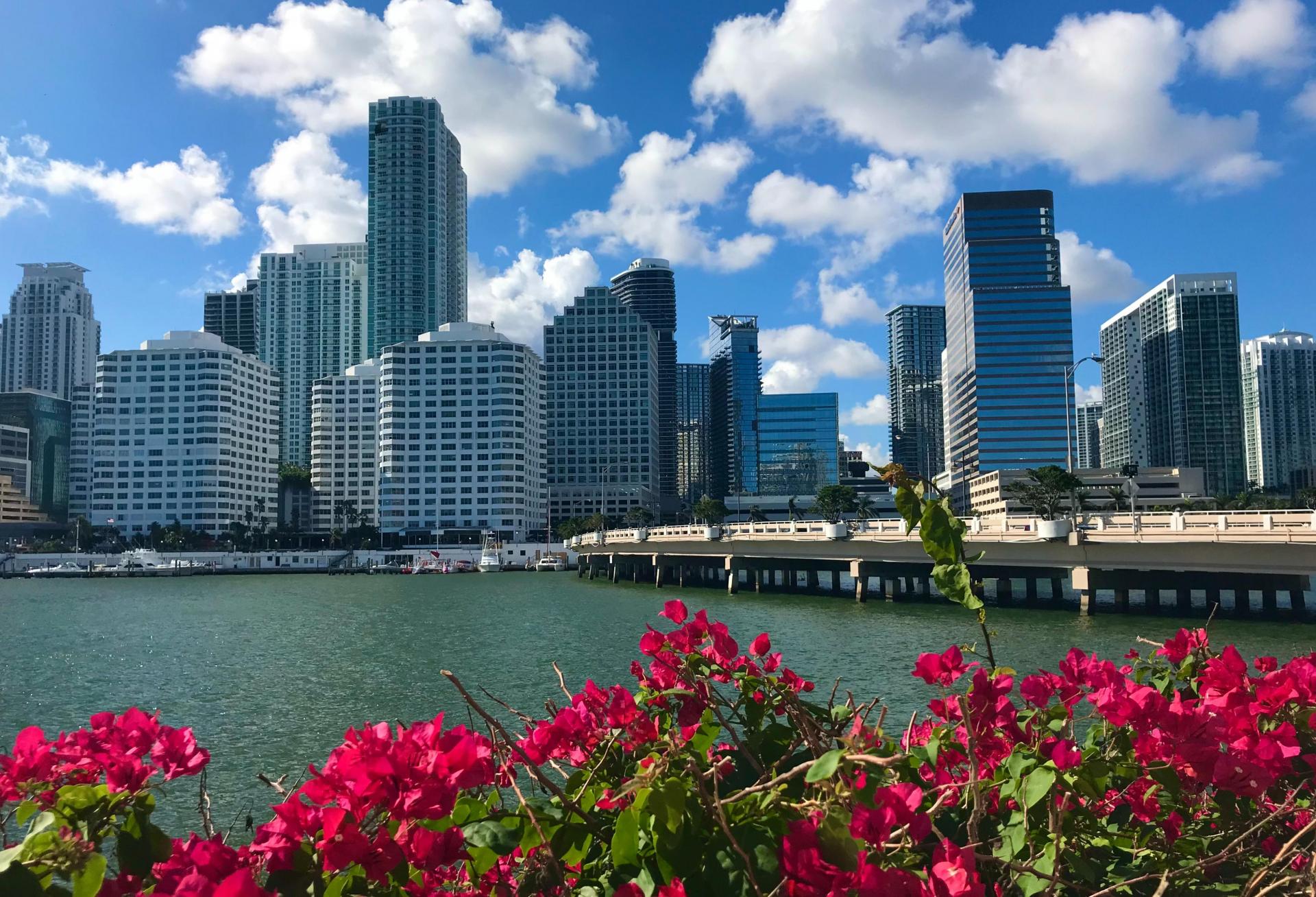 Miami Skyline Biscayne Bay Office Multifamily Buildings