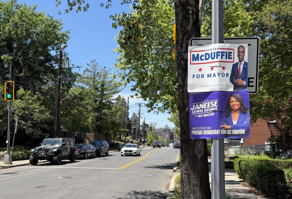 Campaign signs for McDuffie and Lewis George have been placed throughout the city ahead of the June 16 primary. 