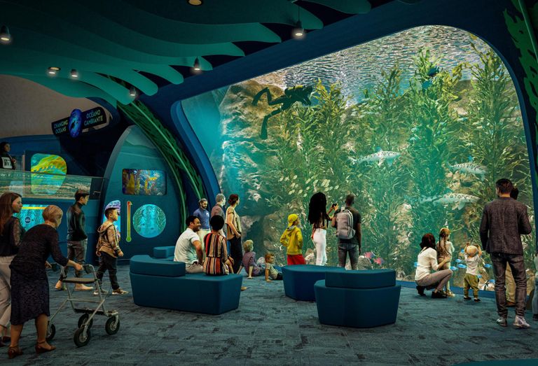 Shedd
