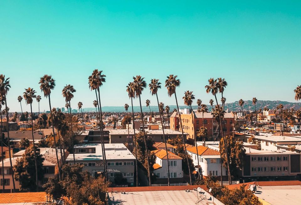 Los Angeles neighborhood palm trees apartments