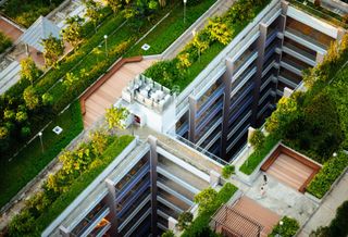 green roof