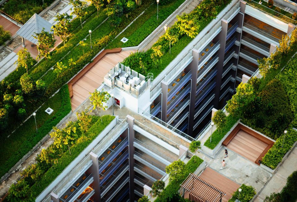 green roof