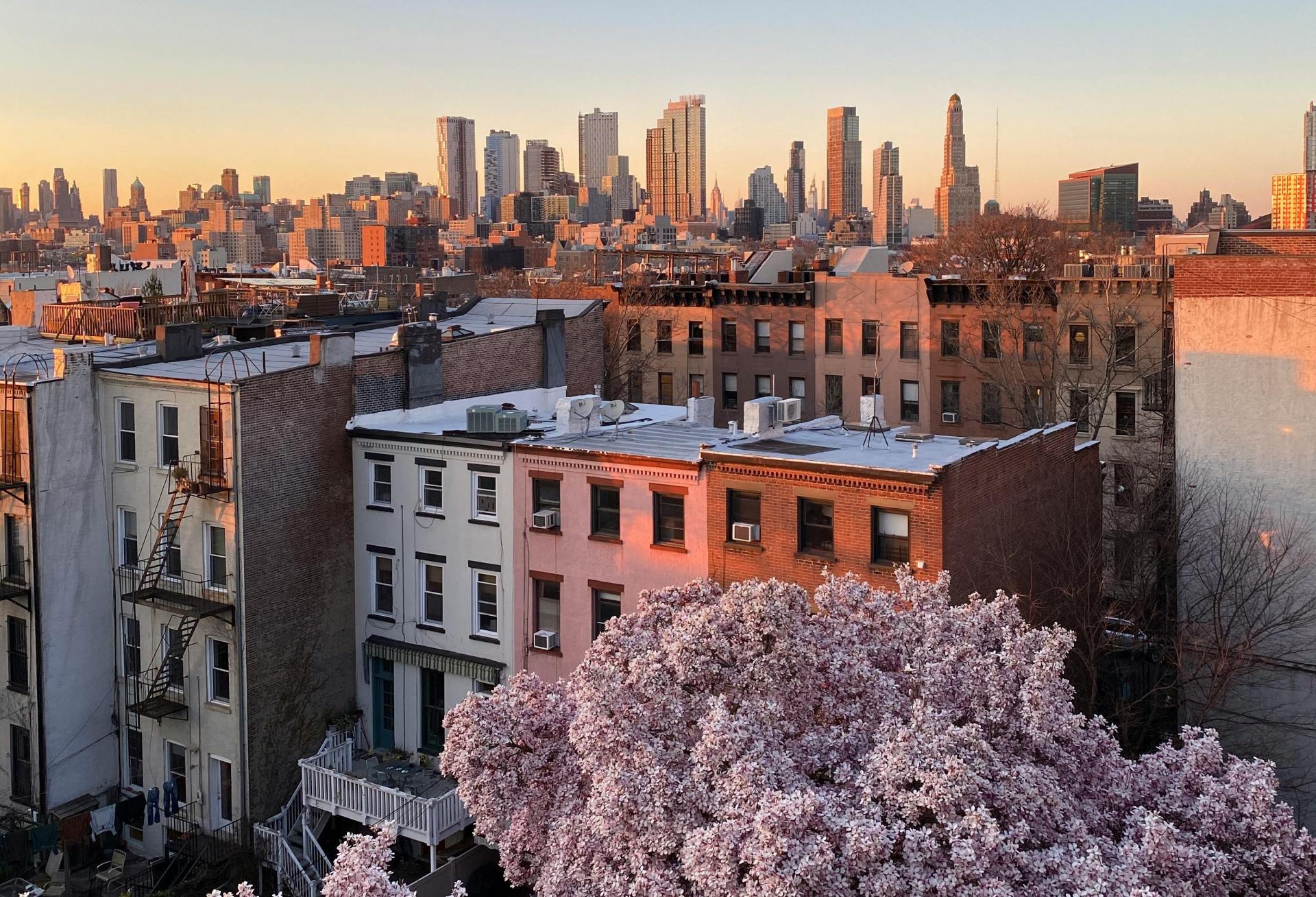 Brooklyn buildings with New York skyline in the back