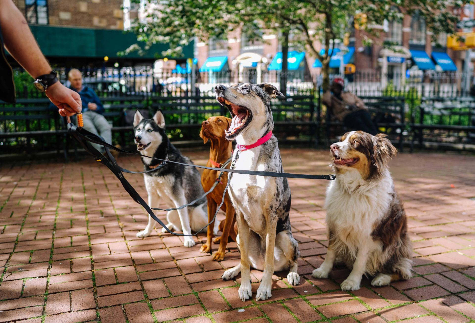 Urban Retail's Revival Has 4 Legs