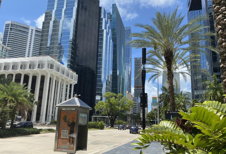 Buildings and palm trees