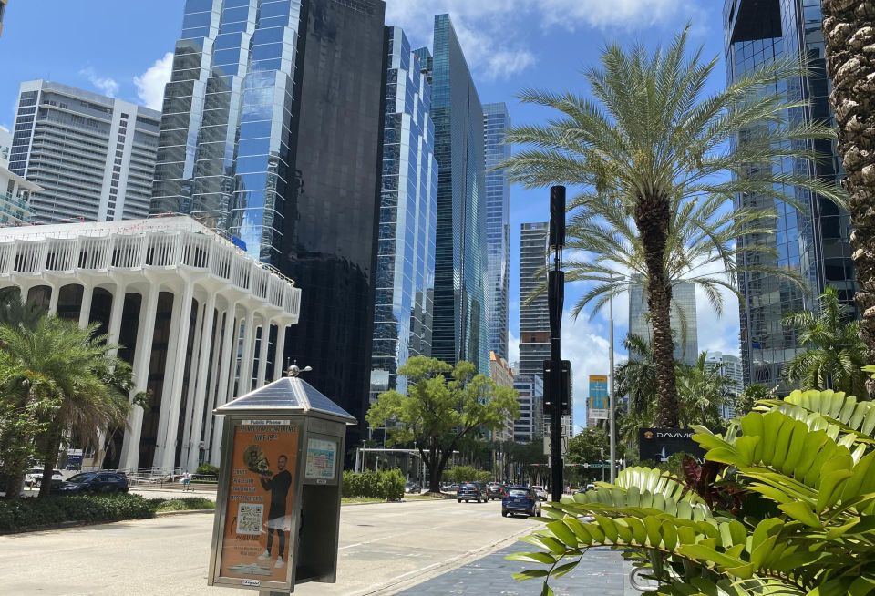 Buildings and palm trees